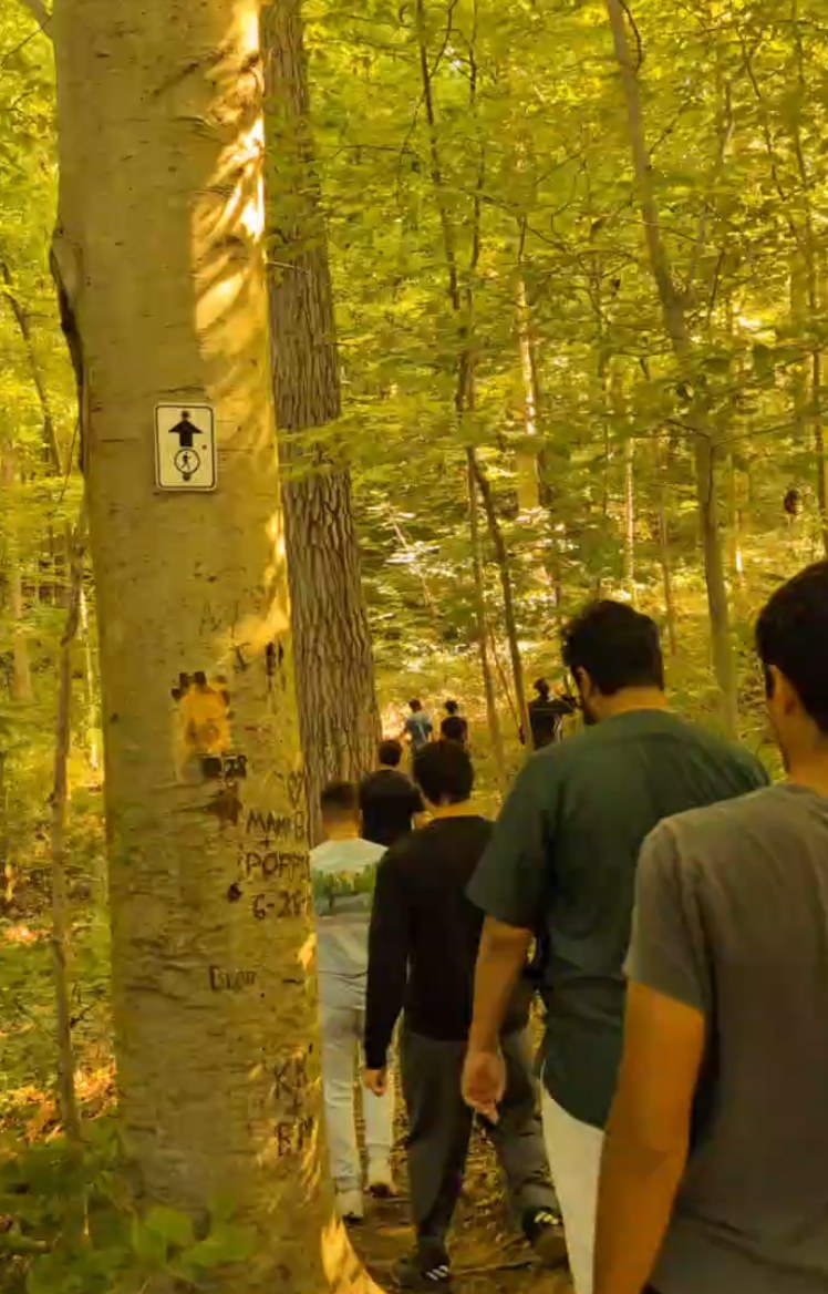 Walking the path together through the forest